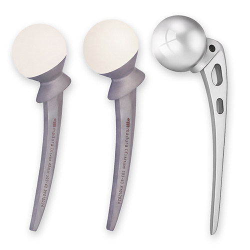 Daily Wellness Tips for a Healthy Lifestyle