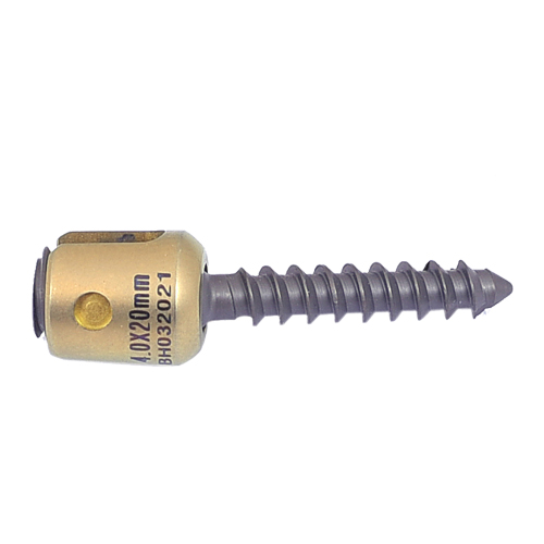 Lateral Mass Screw Manufacturers in Pune